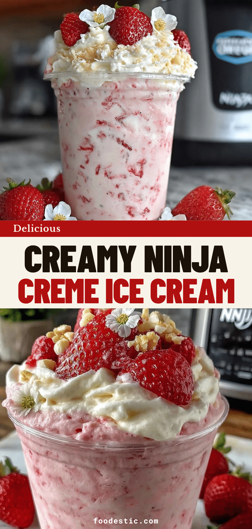 creamy protein ice cream recipe